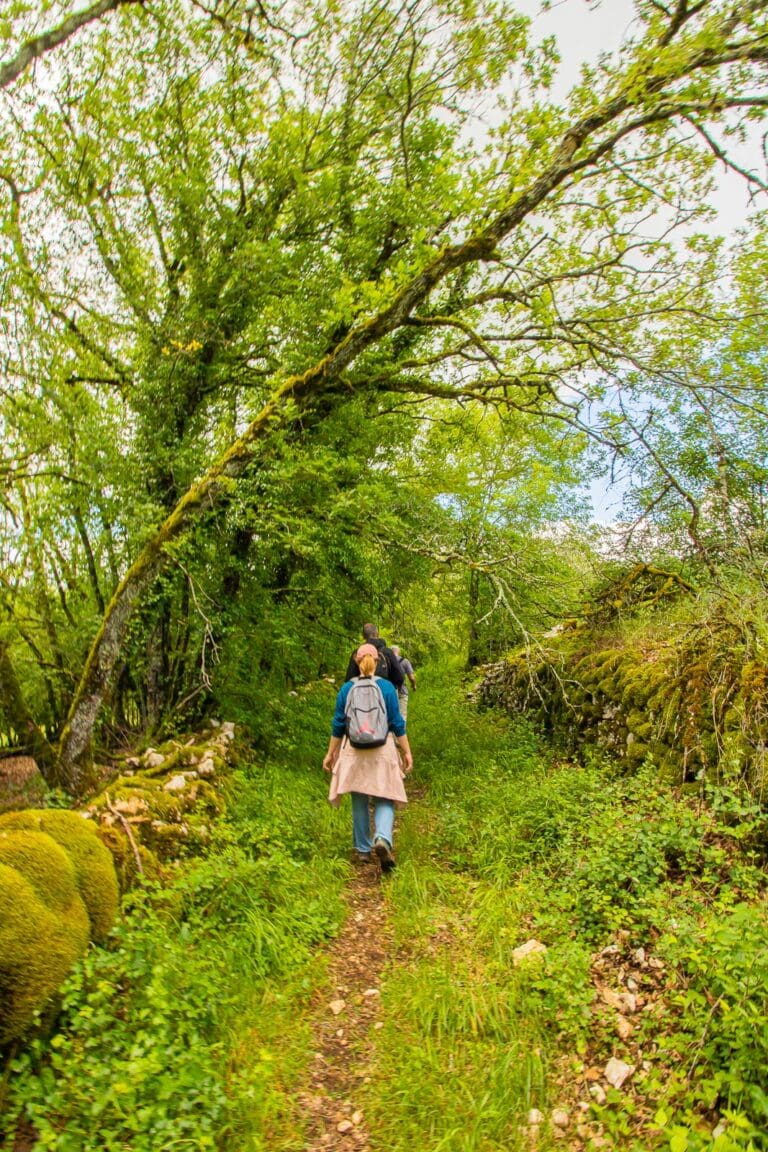 la marche tranquille