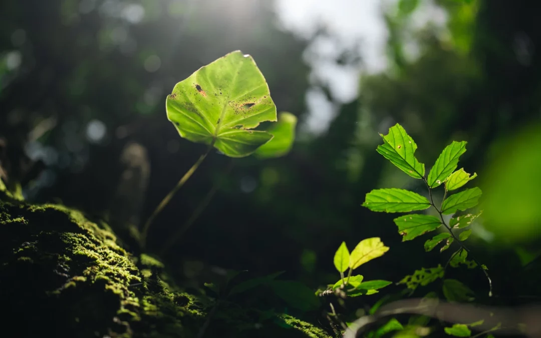 Chapitre 5: Exposome